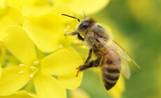 理科系に強くなるの画像